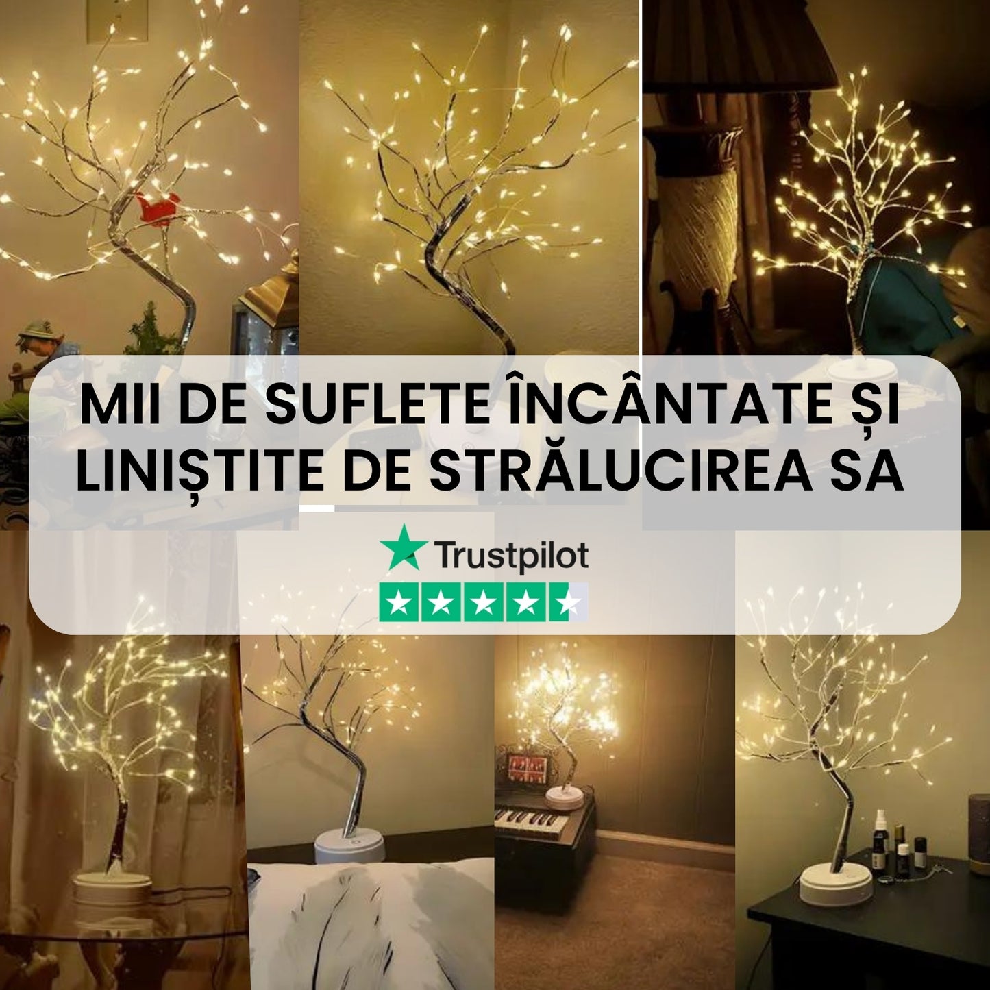 Copac spiritual cu lumină zână